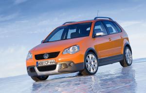 Volkswagen Polo Dune '2006